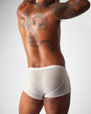 TEAMM8 Allure Sheer Trunk Platinum - BANG & STRIKE
