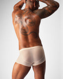 TEAMM8 Allure Sheer Trunk Husk - BANG & STRIKE