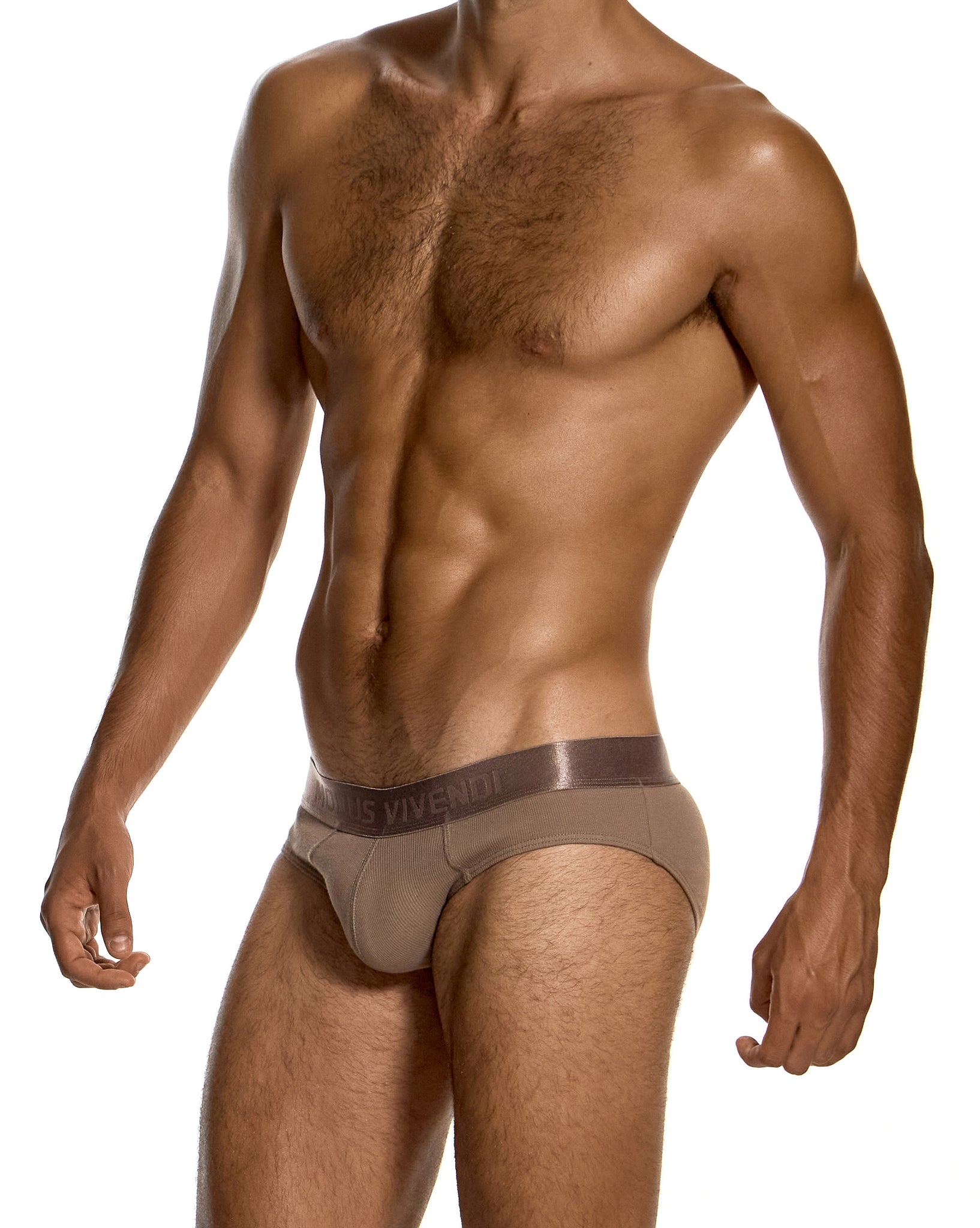 Modus Vivendi Ribbed Cotton Classic Brief Dark Skin - BANG & STRIKE (view 3)
