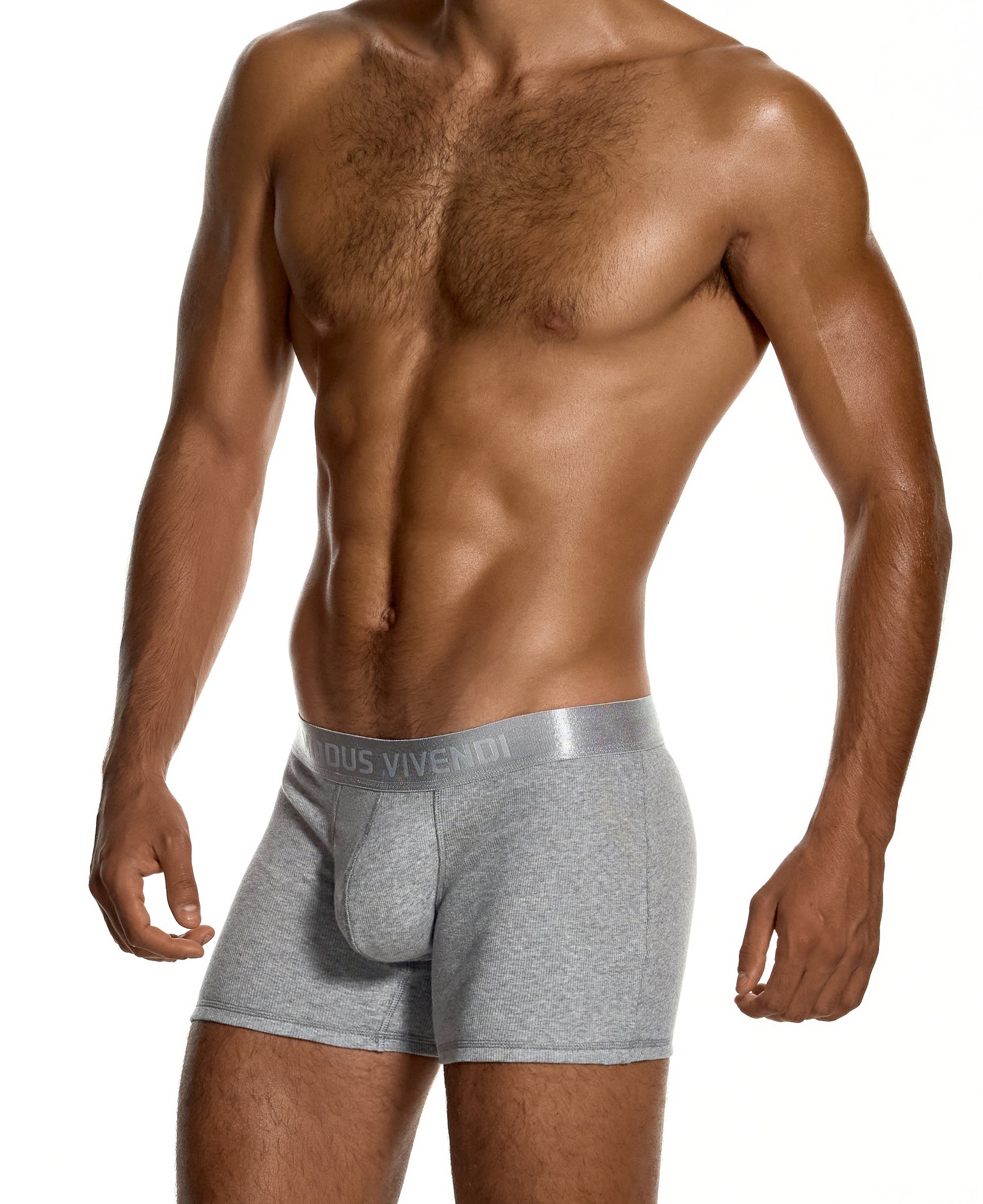 Modus Vivendi Ribbed Cotton Long Boxer Grey - BANG & STRIKE (view 3)